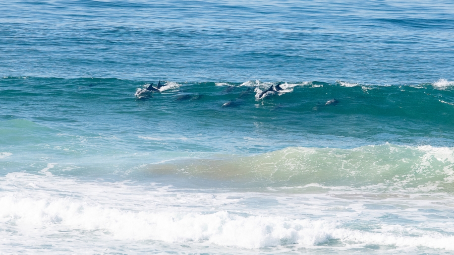 0 Bedroom Property for Sale in Southern Cross Western Cape